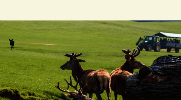 buckleburyfarm.co.uk