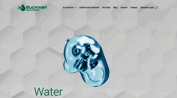 buckmandigitalwater.com