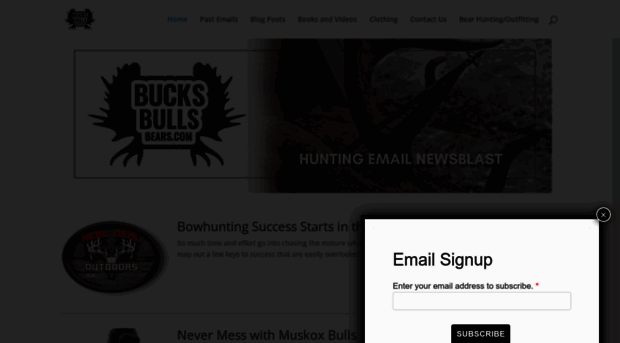 bucksbullsbears.com