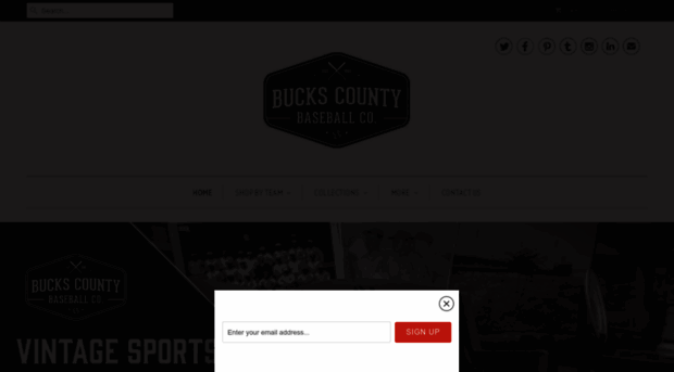 buckscountybaseballco.com