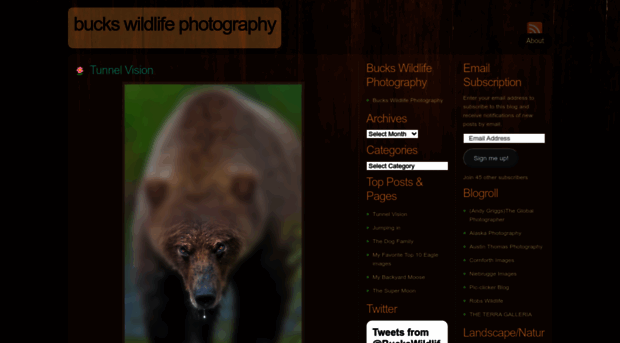 buckswildlifephotography.wordpress.com