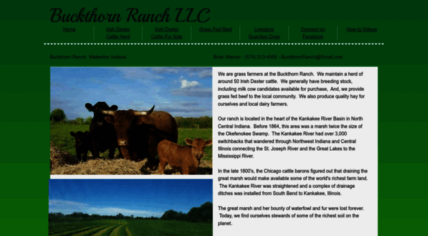 buckthornranch.com