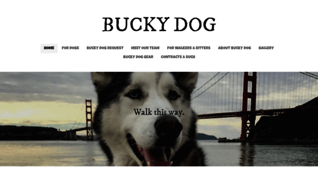 buckyd.com