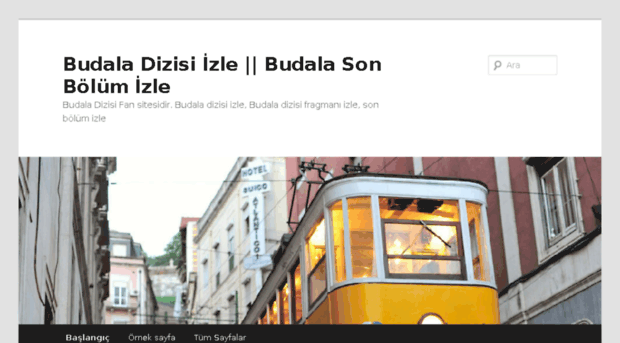 budaladizisi.com