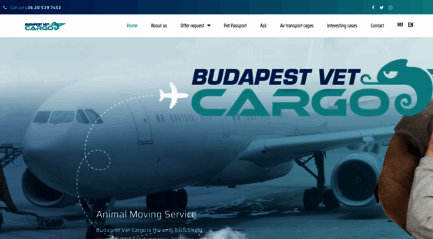 budapestvet.com