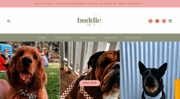 buddieandco.com