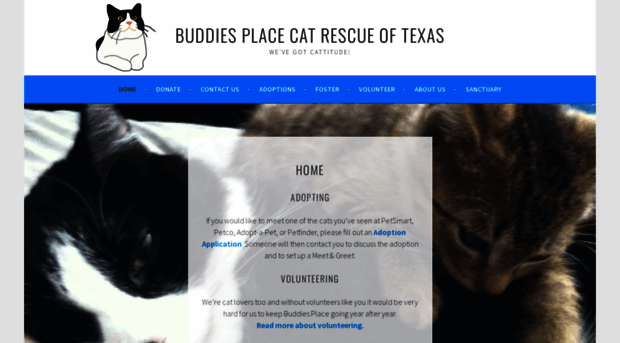 buddiesplacecatrescue.org