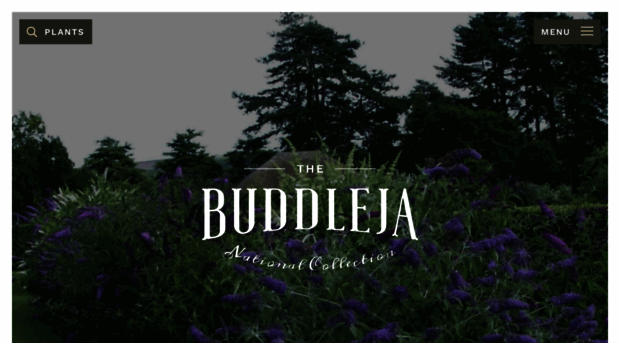 buddlejacollection.com