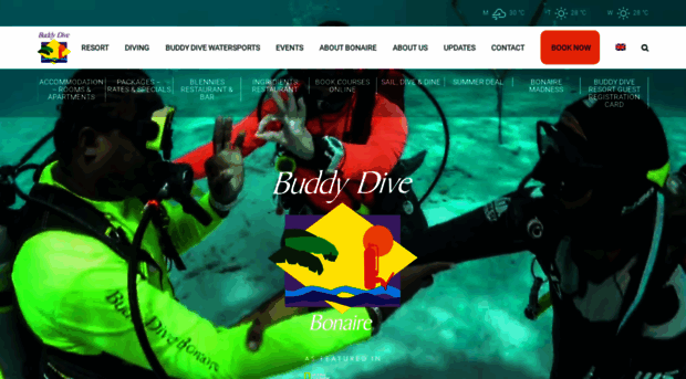 buddydive.com