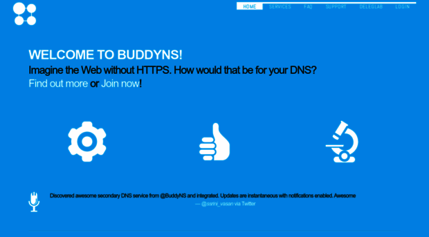 buddyns.com