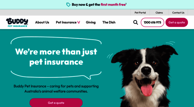 buddypetinsurance.com.au