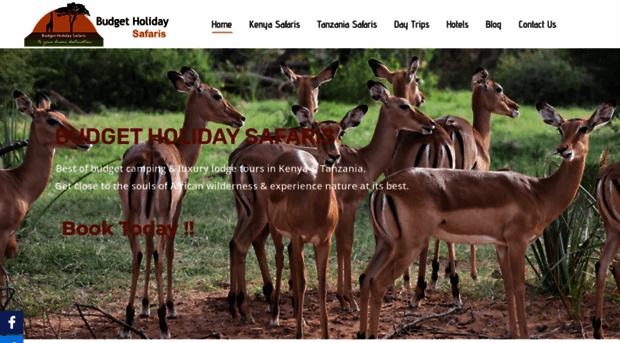 budgetholidaysafaris.com