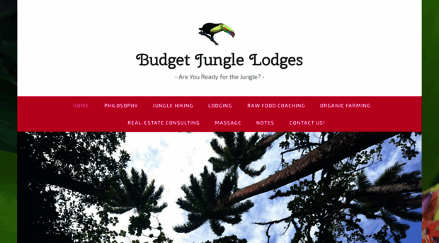 budgetjunglelodges.wordpress.com