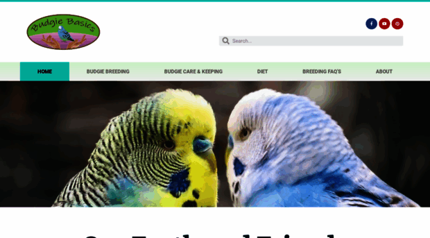 budgiebasics.com