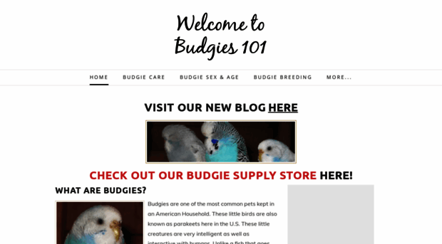 budgies101.weebly.com