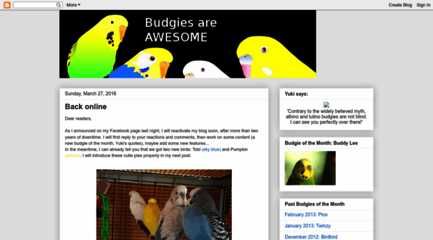 budgiesareawesome.blogspot.com