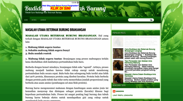 budidaya-beternak-burung.blogspot.com