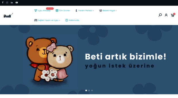 budizzz.com