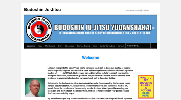 budoshin.com