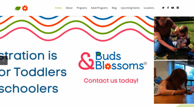 budsandblossoms.ca