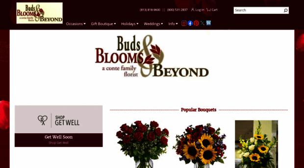 budsbloomsandbeyond.com