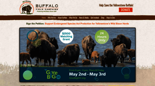 buffalofieldcampaign.org