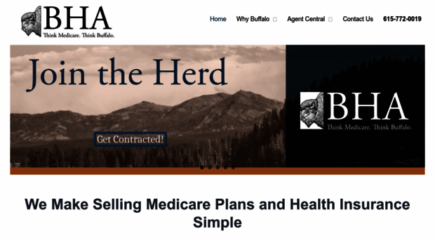 buffalohealthadvisors.com