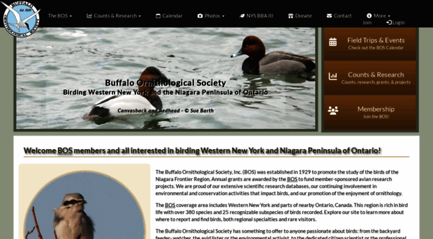 buffaloornithologicalsociety.org