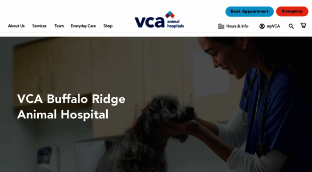 buffaloridgeanimalhospital.com