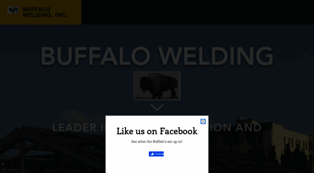 buffalowelding.net