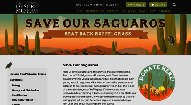 buffelgrass.org