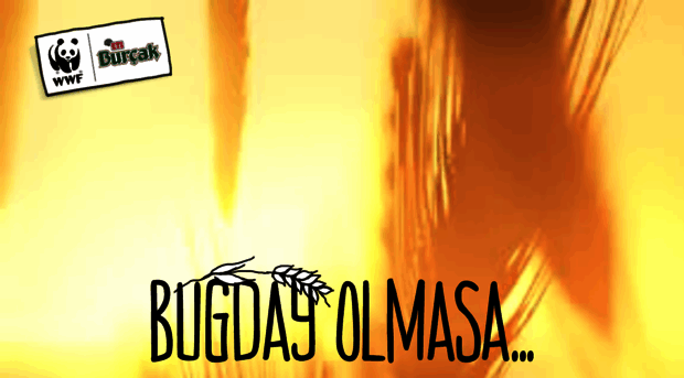 bugdayolmasa.com