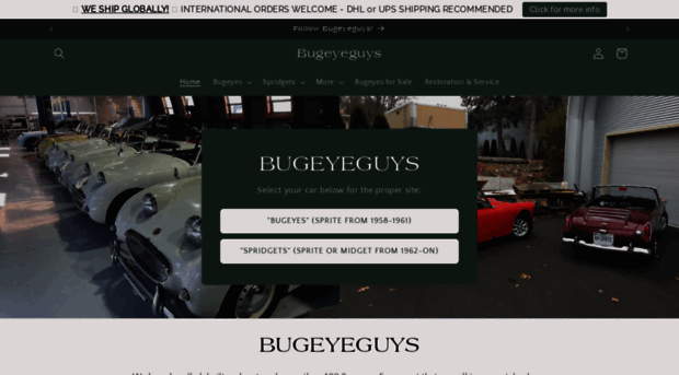 bugeyeguy.myshopify.com