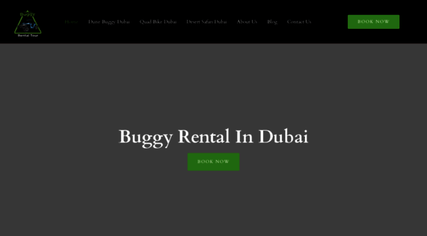 buggyrentaltour.com
