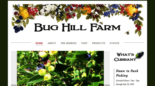 bughillfarm.org