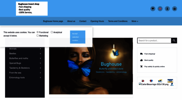 bughouse.be