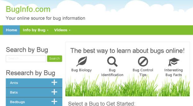 buginfo.com