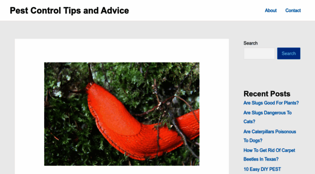 bugmasterpestcontrol.com