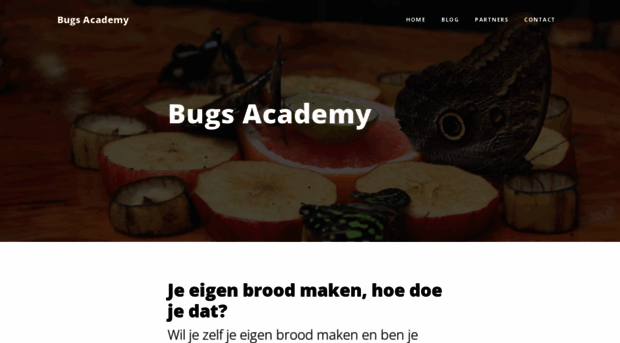 bugsacademy.nl