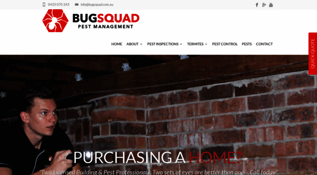 bugsquad.com.au