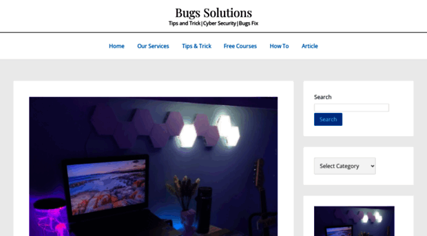 bugssolutions.com