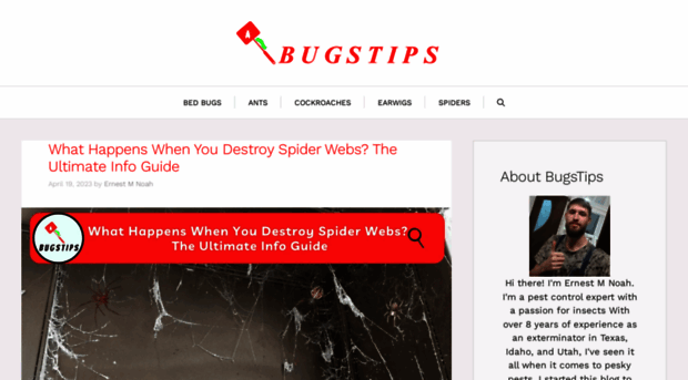 bugstips.com