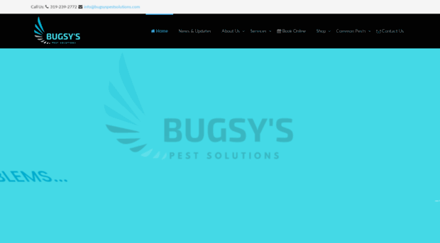 bugsyspestsolutions.com