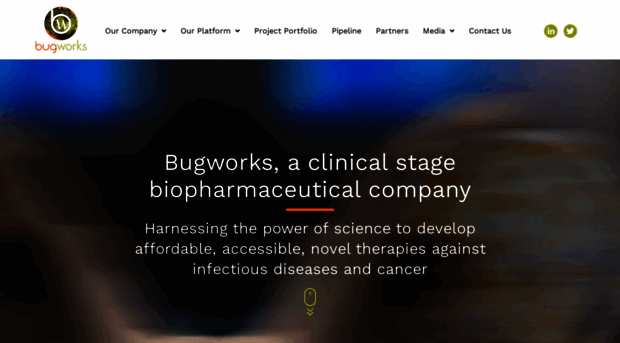 bugworksresearch.com