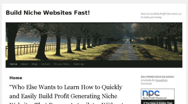 build-niche-websites-fast.com