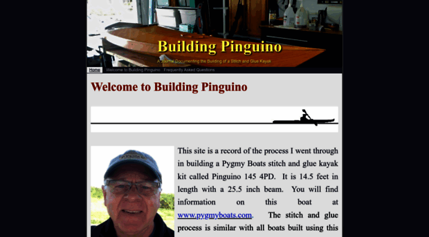 buildingpinguino.info