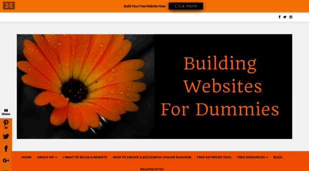 buildingwebsitesfordummies.com