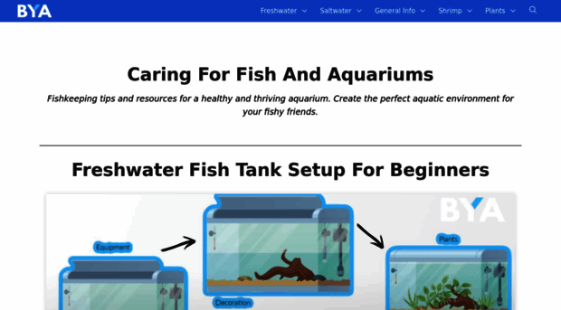 buildyouraquarium.com