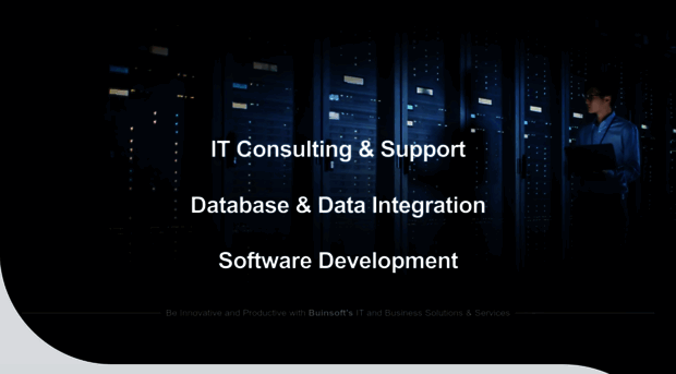 buinsoft.com