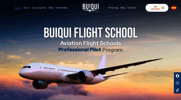 buiqui.com